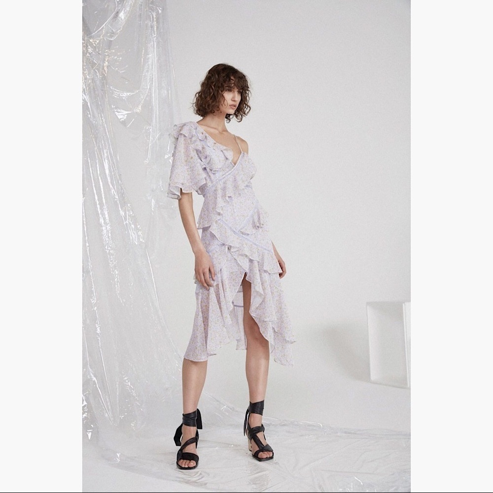 NWOT ACLER'S BAKEWELL DRESS